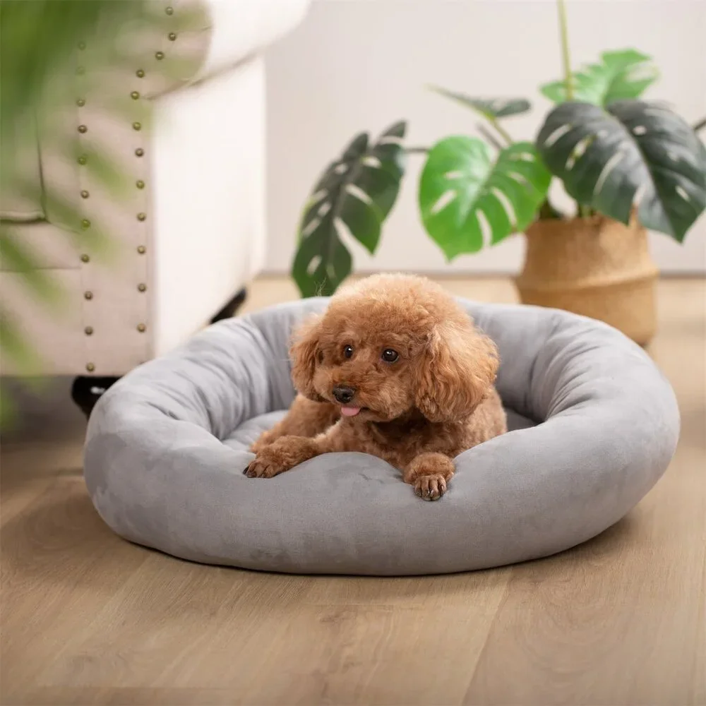 New Original Packaging - Dog Bed - Round - Grey